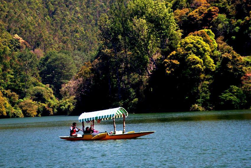 Отель Munnar Dreams Экстерьер фото