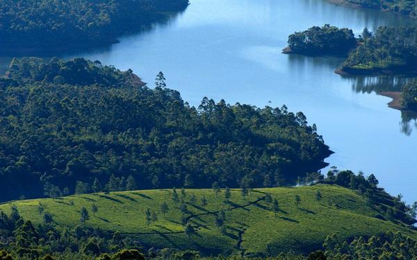 Отель Munnar Dreams Экстерьер фото
